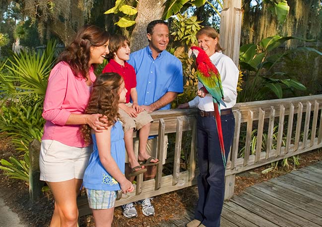 macaw-w-family_CourtesyCentralFLzoo