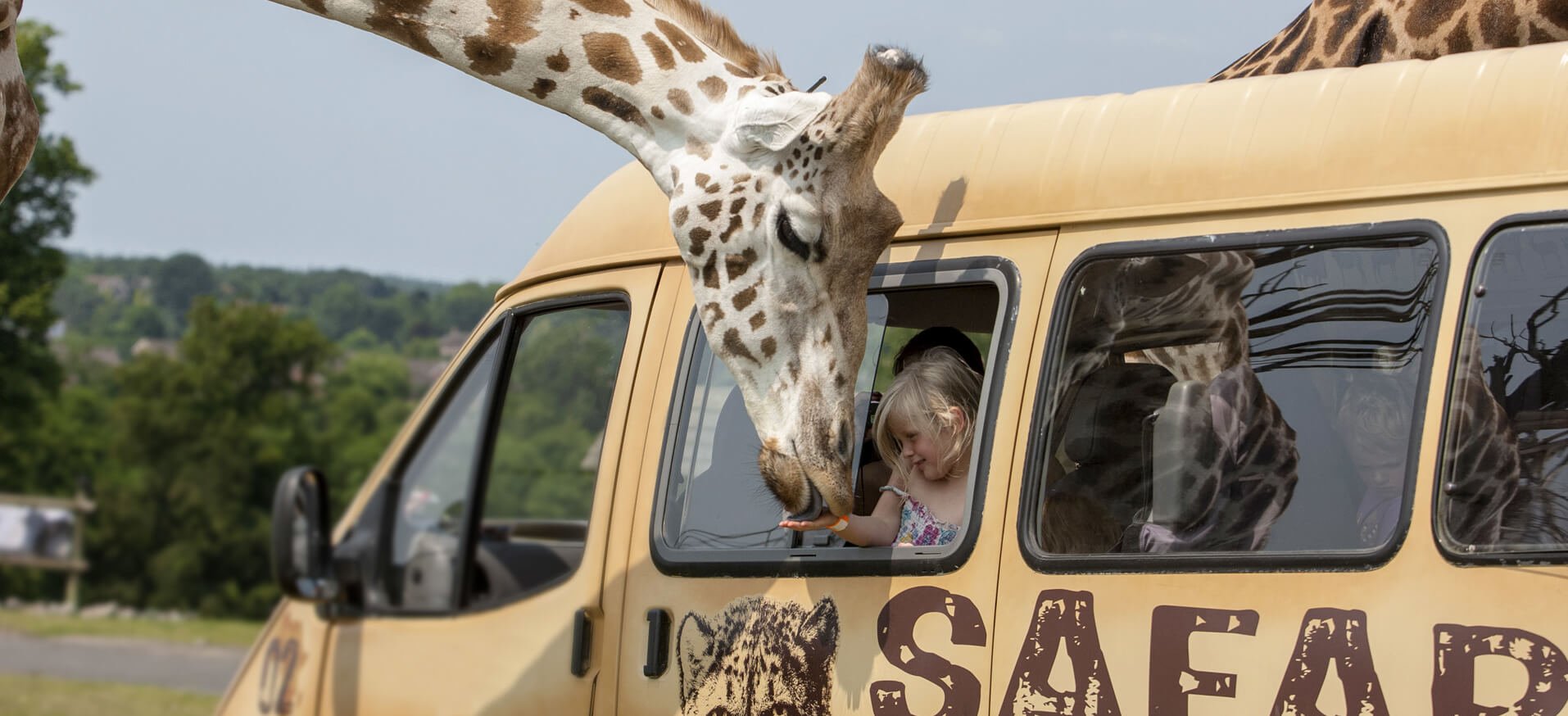 School Holidays West Midlands Safari Park Tickets + 1