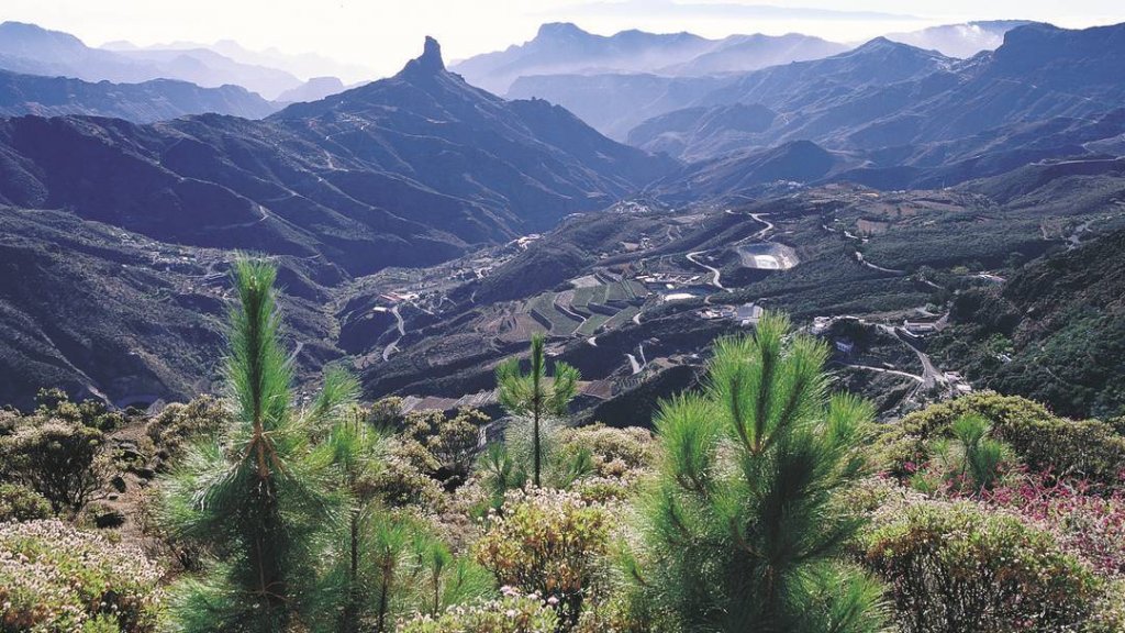 flights to gran canari flights to gran canari