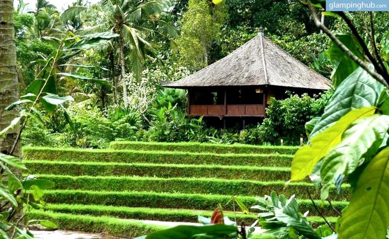 rice-paddy-bungalow-glamping-bali-indonesia