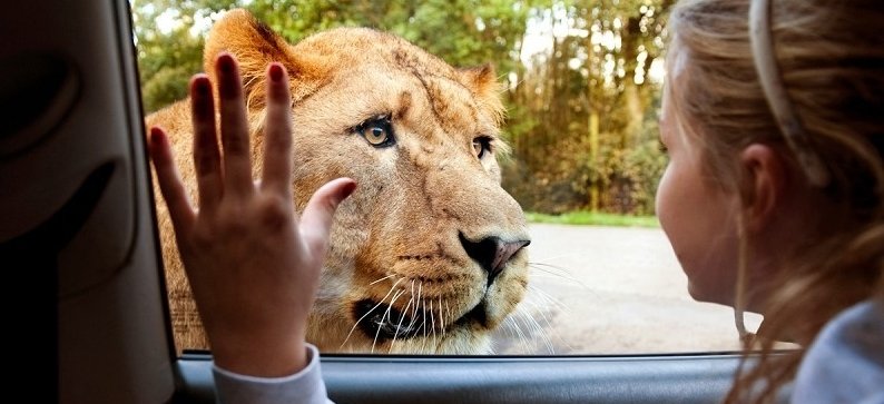 Knowsley safari park coupons