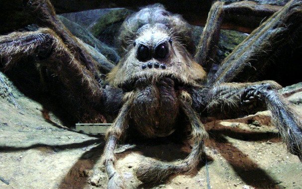 aragog