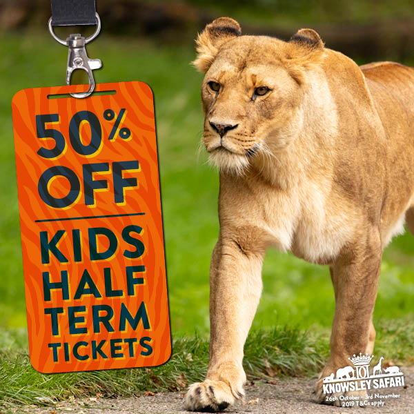 knowsley safari experience discount