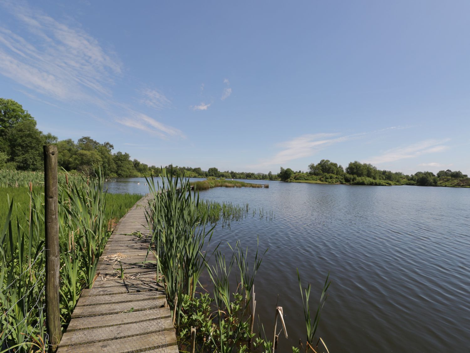 Best Remote Holiday Cottages in UK (Pet-friendly, Isolated, secluded lodges with hot tubs) Billy Boo