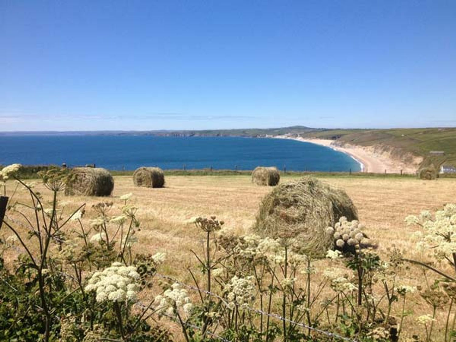 Best Remote Holiday Cottages in UK (Pet-friendly, Isolated, secluded lodges with hot tubs) Halzephron Cottage