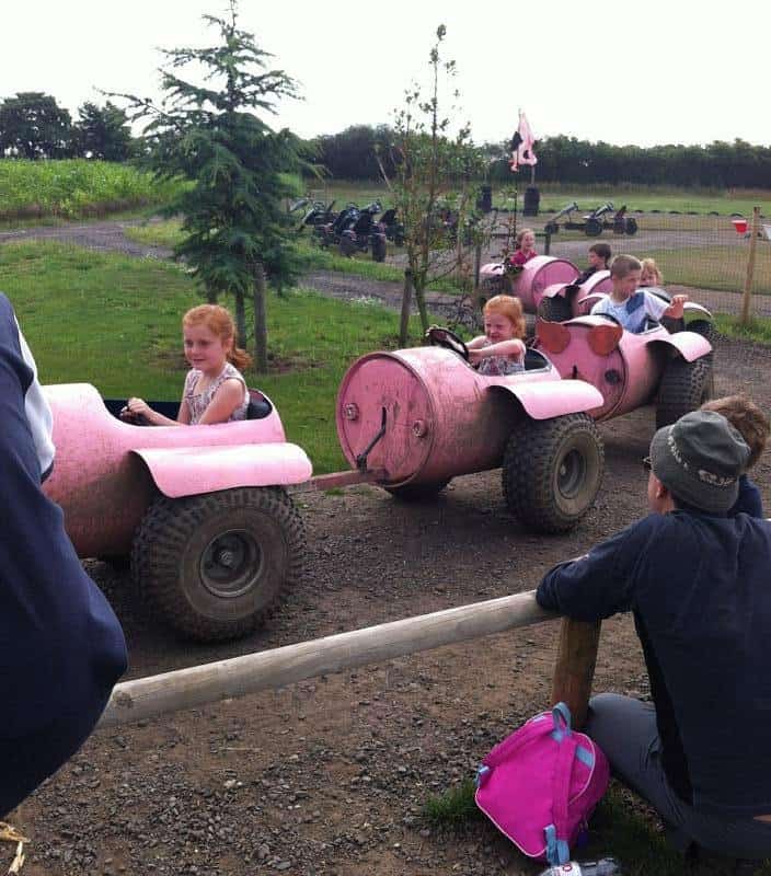 Kids happily riding a pink train at Piglets Adventure Farm