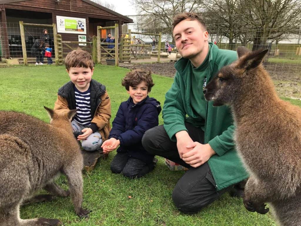 kids feeding kangaroos and other animals at battersea park children's zoo