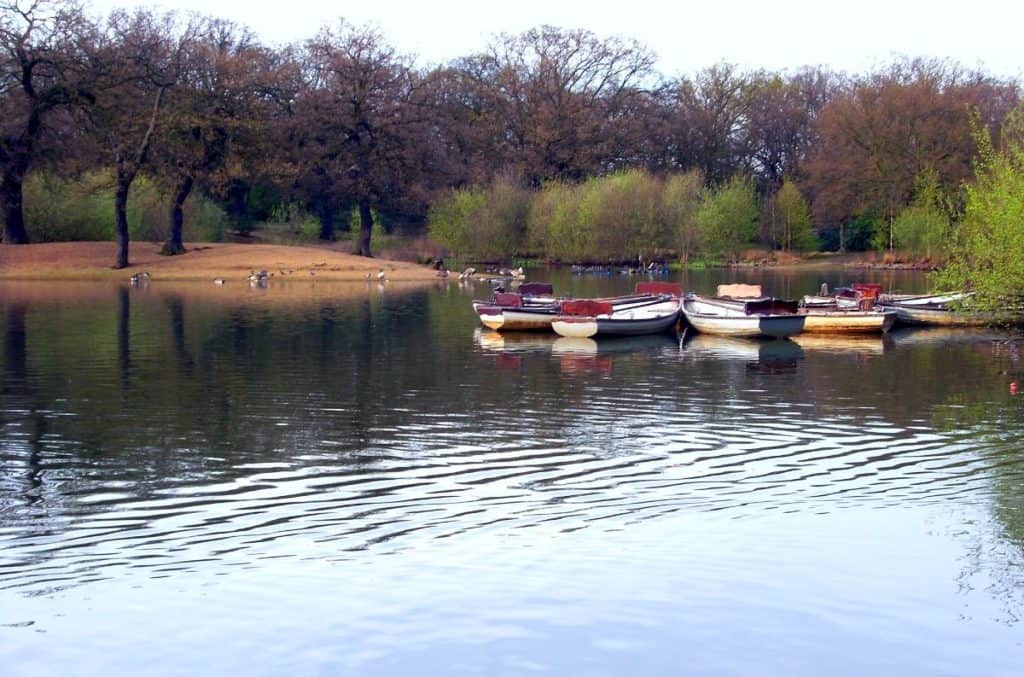 lake where you can do boat riding and explore the ancient woodland at epping forest