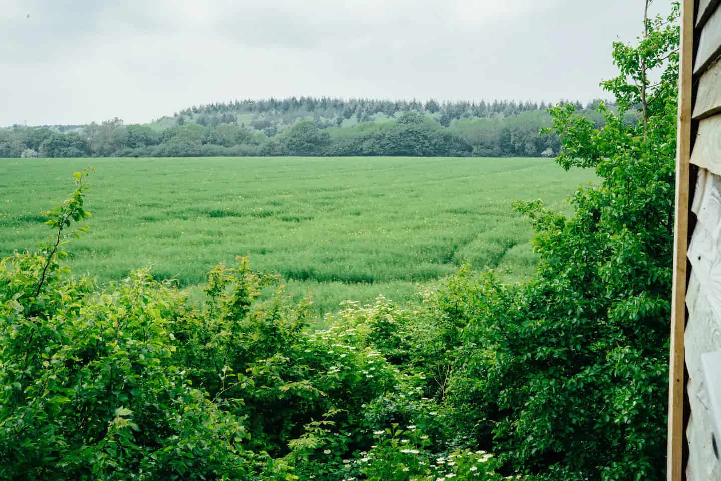 The Elham Treehouse (Kent) Updated 2022