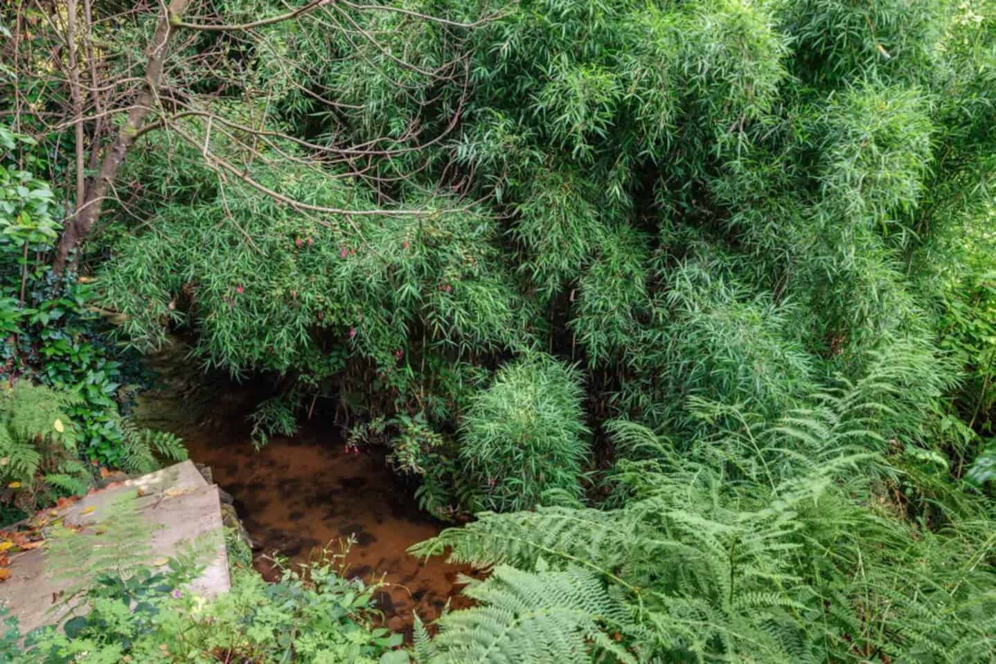 The Treehouse Penzance (Cornwall) Updated 2022