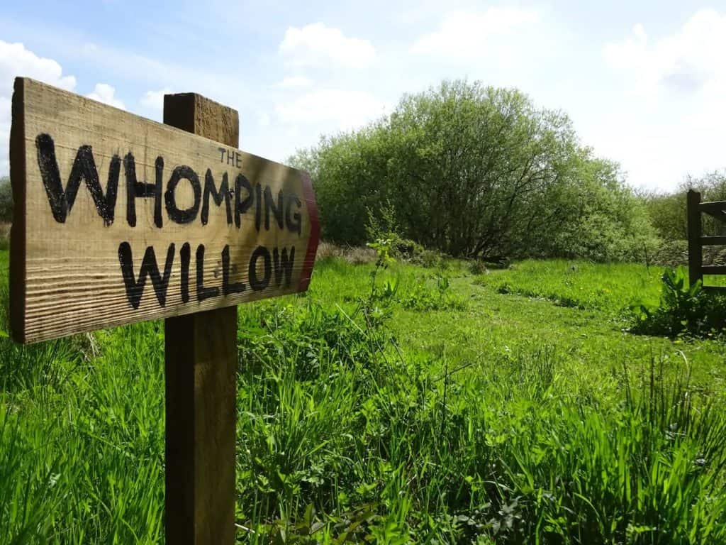 Kids love to play in the Whomping Willow!