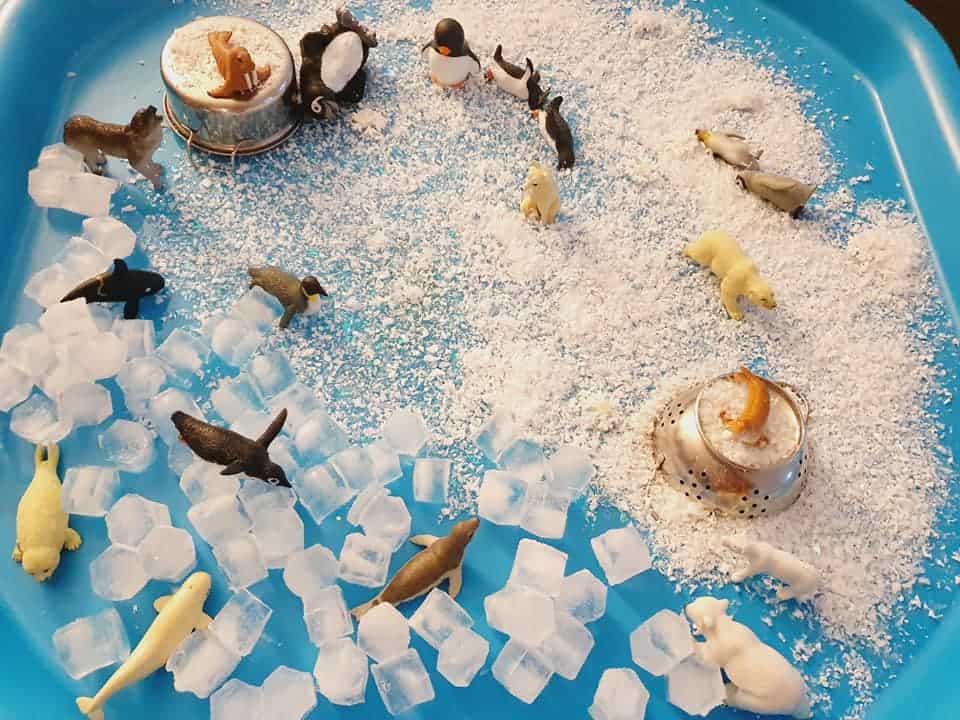 Polar Region tuff tray